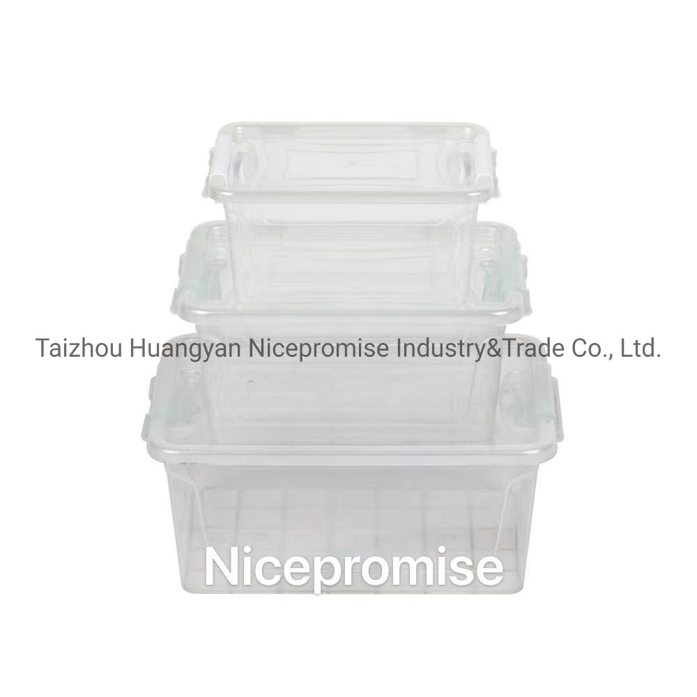 Plastic Packaging Refrigerator Storage Box Food Container Lunch Box Injection Mould