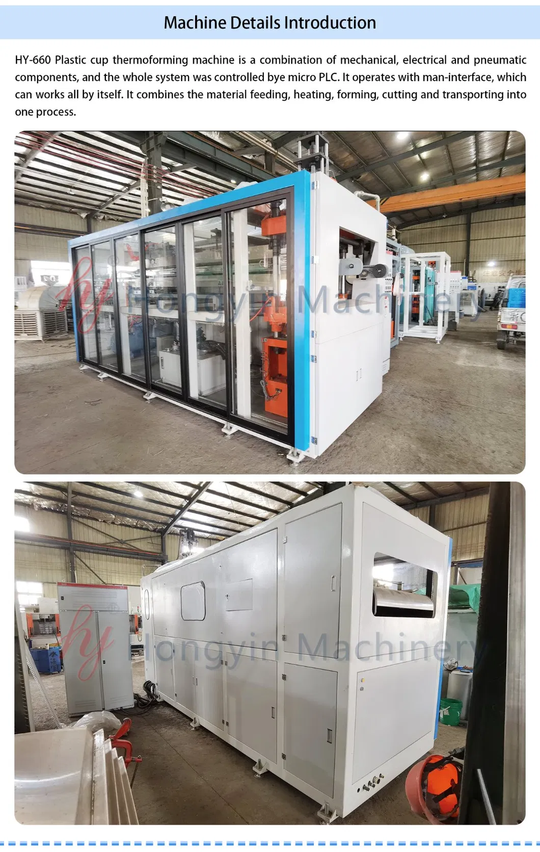 Plastic Water Cup Ice Cream Bowl Thermoforming Machine