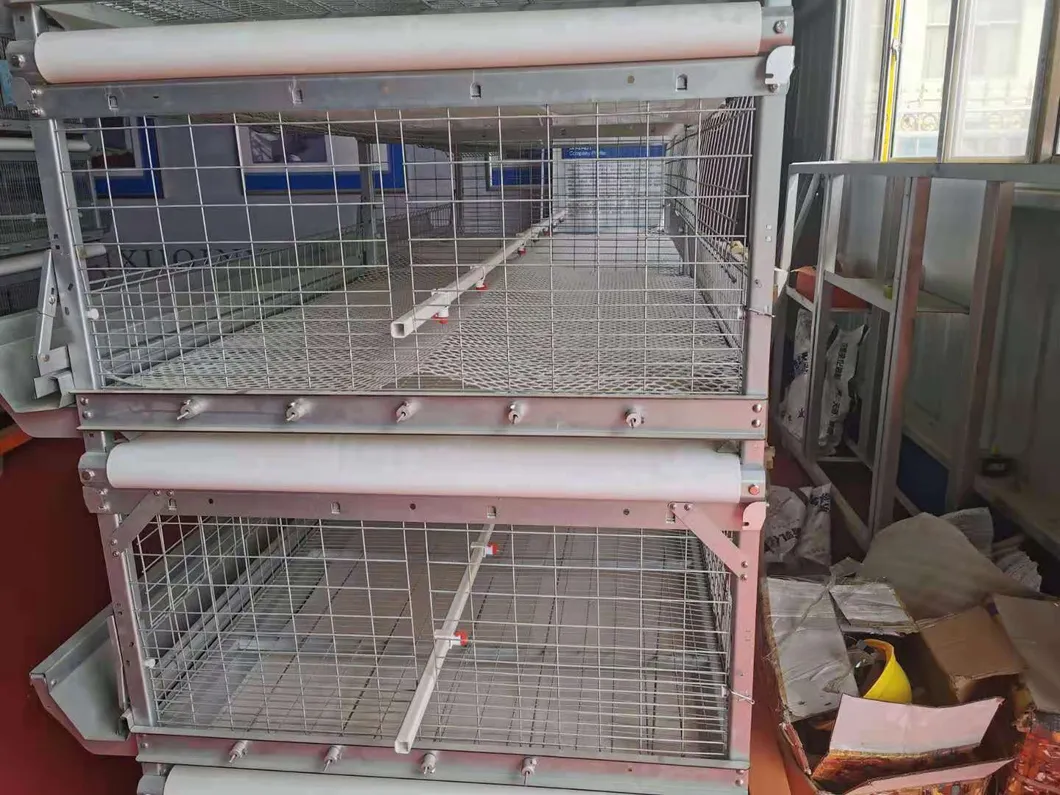 Poultry Farm Equipment Battery Cage for Broiler Hot Galvanized Wiremeshes