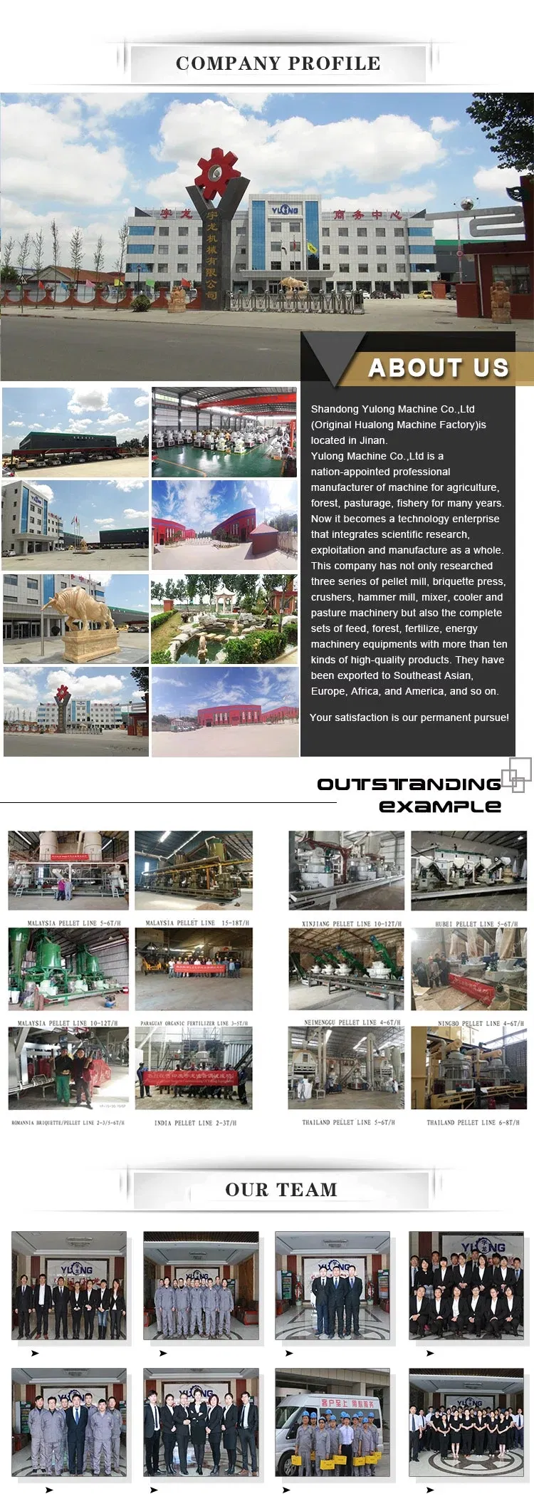 Poultry Mouse Feed Pellet Machine