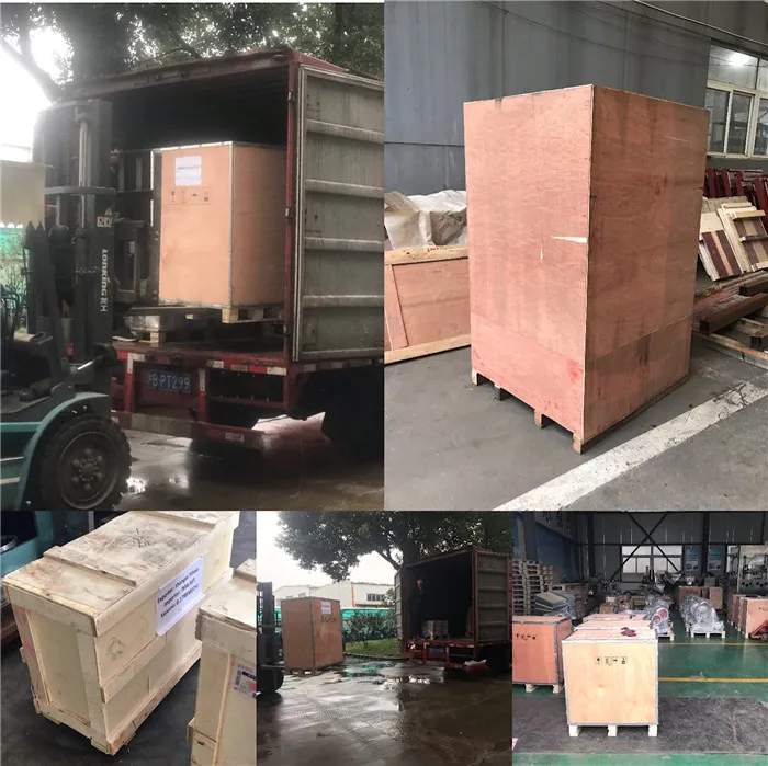 Punch for Tablet Press Machine Tdp 0 Tdp1.5 Tdp5 Mold of Candy
