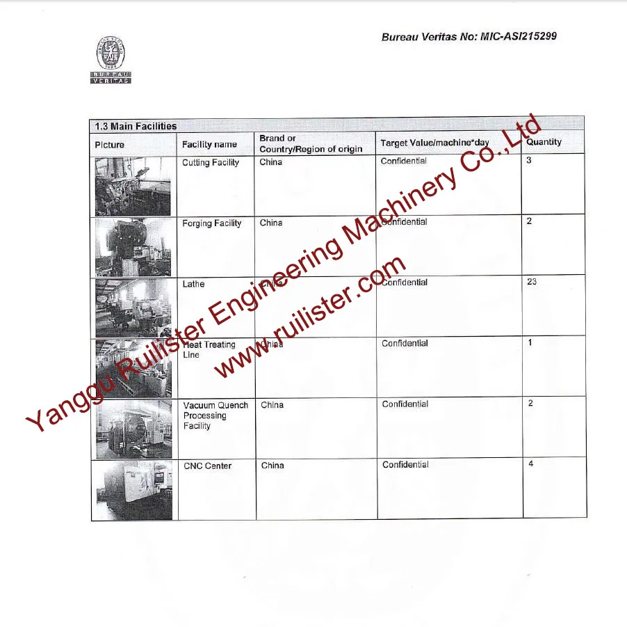 Ruilister Tungsten Carbide Bullet Teeth B47K22h for Foundation Drilling Tunneling Rock Core Drilling