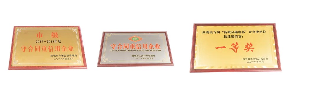 Ruilister Tungsten Carbide Bullet Teeth B47K22h for Foundation Drilling Tunneling Rock Core Drilling