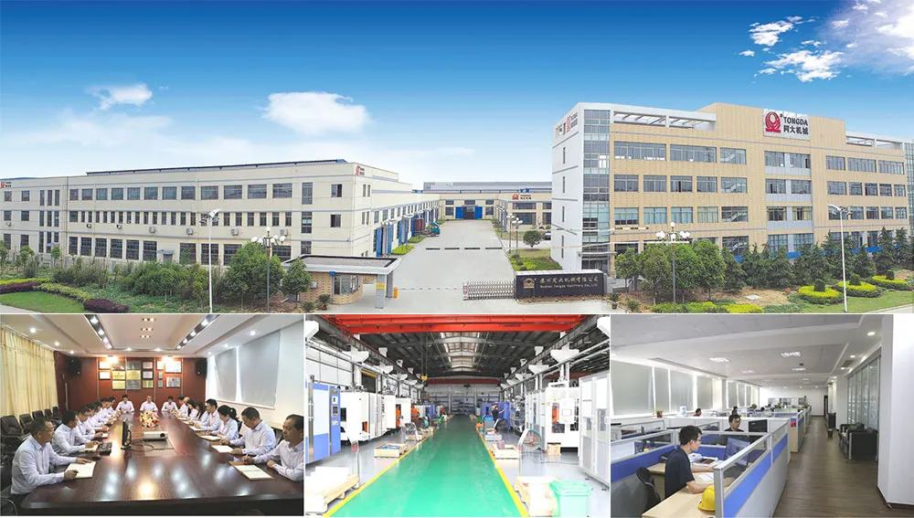Tongda Hts-2L Single Station HDPE Plastic Pruduct Making Machine