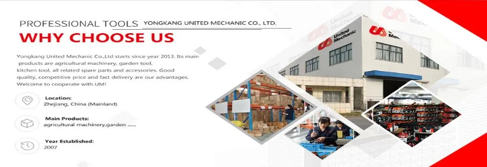 Um 20L 2 Stroke Gasoline Petrol Knapsack Sprayer Backpack Mist Blower Fogger Insecticide Knapsack Agriculture Sprayer