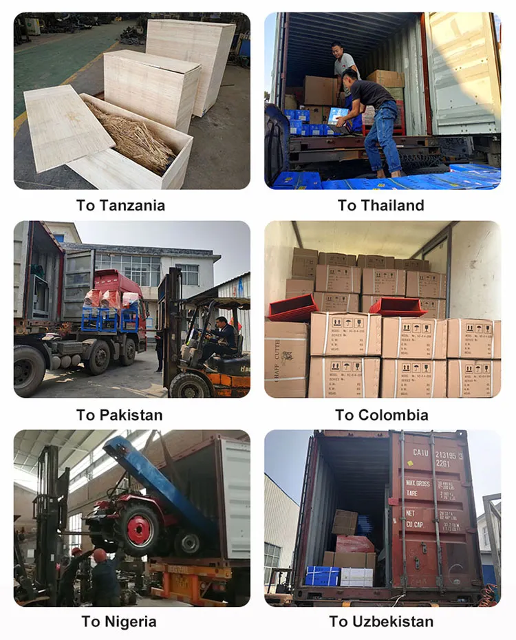 Zimbabwe Mini Maize Miller Corn Milling Machine Flour Mill